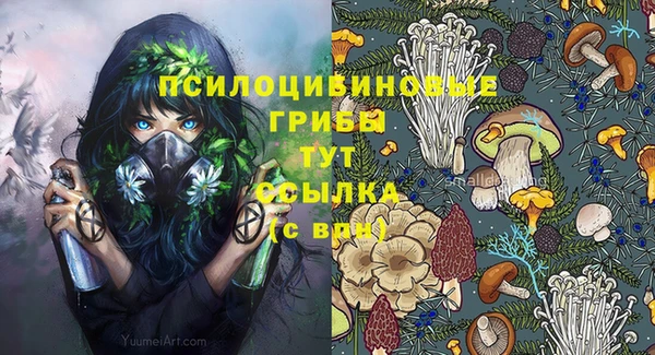 дмт Дмитриев