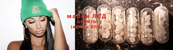 гидропоника Елабуга