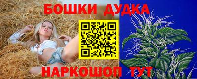 гидропоника Пенза