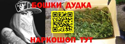 гидропоника Пенза