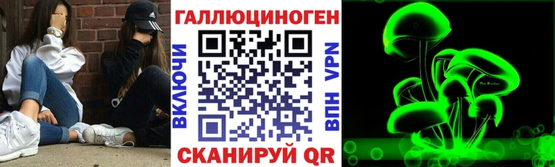 Псилоцибиновые грибы Psilocybine cubensis  Чита 