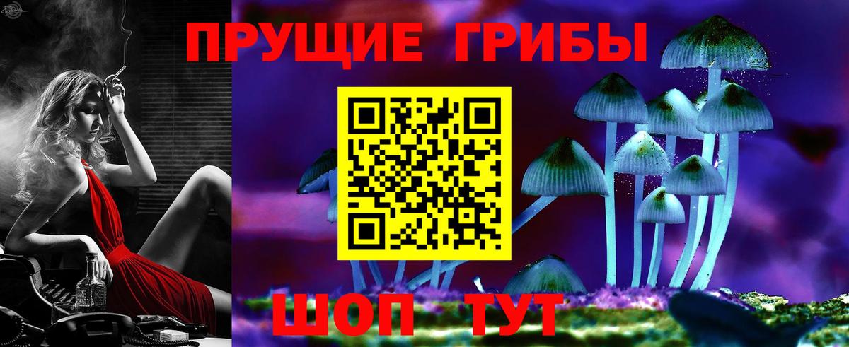 Чита  купить закладку  Вход с VPN  Псилоцибиновые грибы MAGIC MUSHROOMS  Галлюциногенные грибы MAGIC MUSHROOMS 
