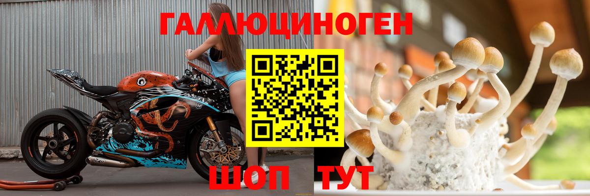 Галлюциногенные грибы GOLDEN TEACHER Чита